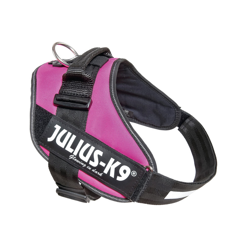  Julius K9 IDC Power Harness