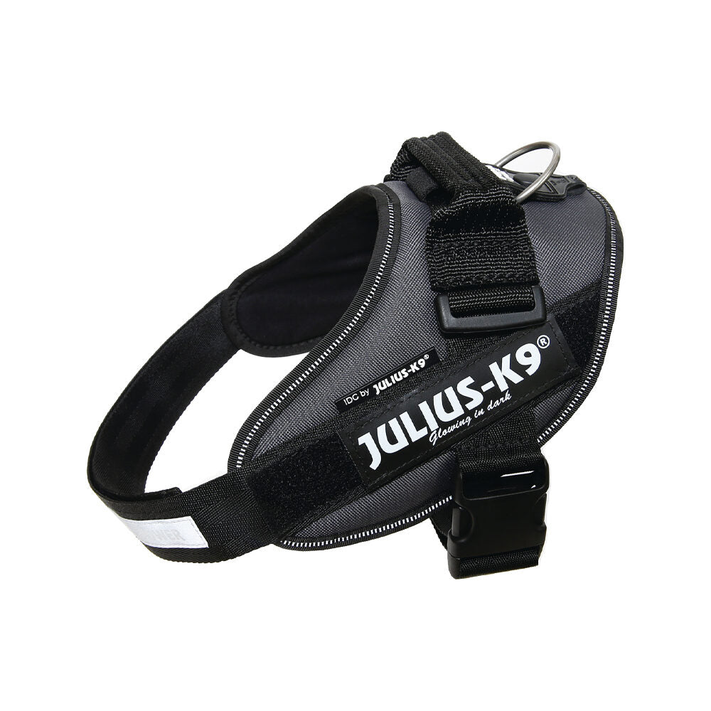  Julius K9 IDC Power Harness