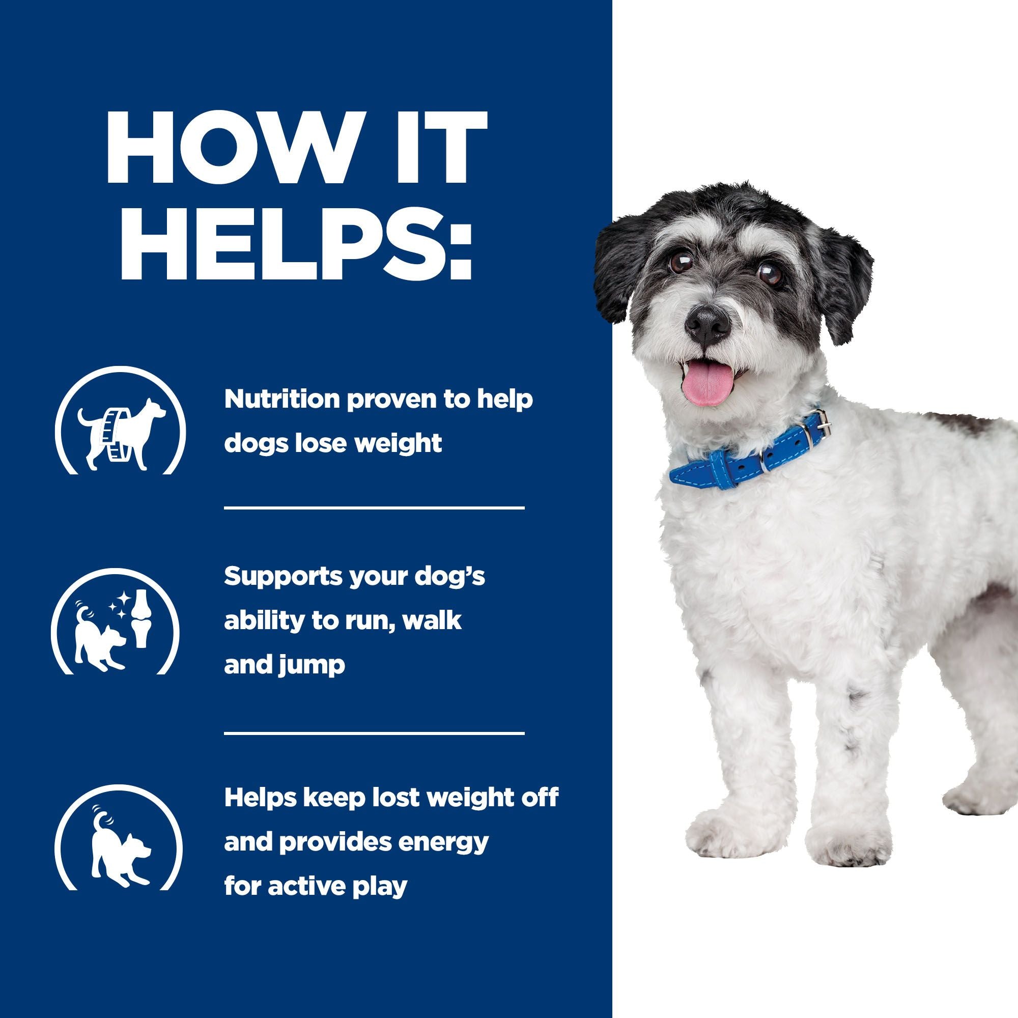  Hill's Prescription Diet Metabolic + Mobility - Canine - Mini