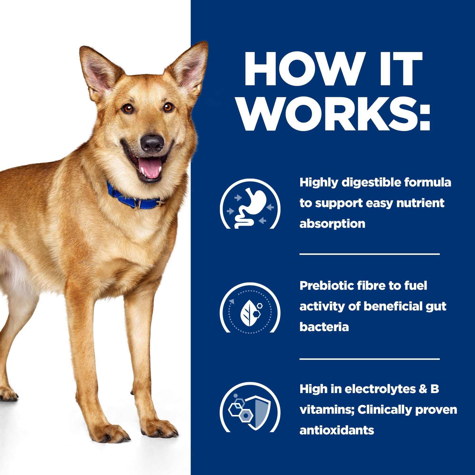  Hill's I/d Digestive Care Stew - Prescription Diet - Canine