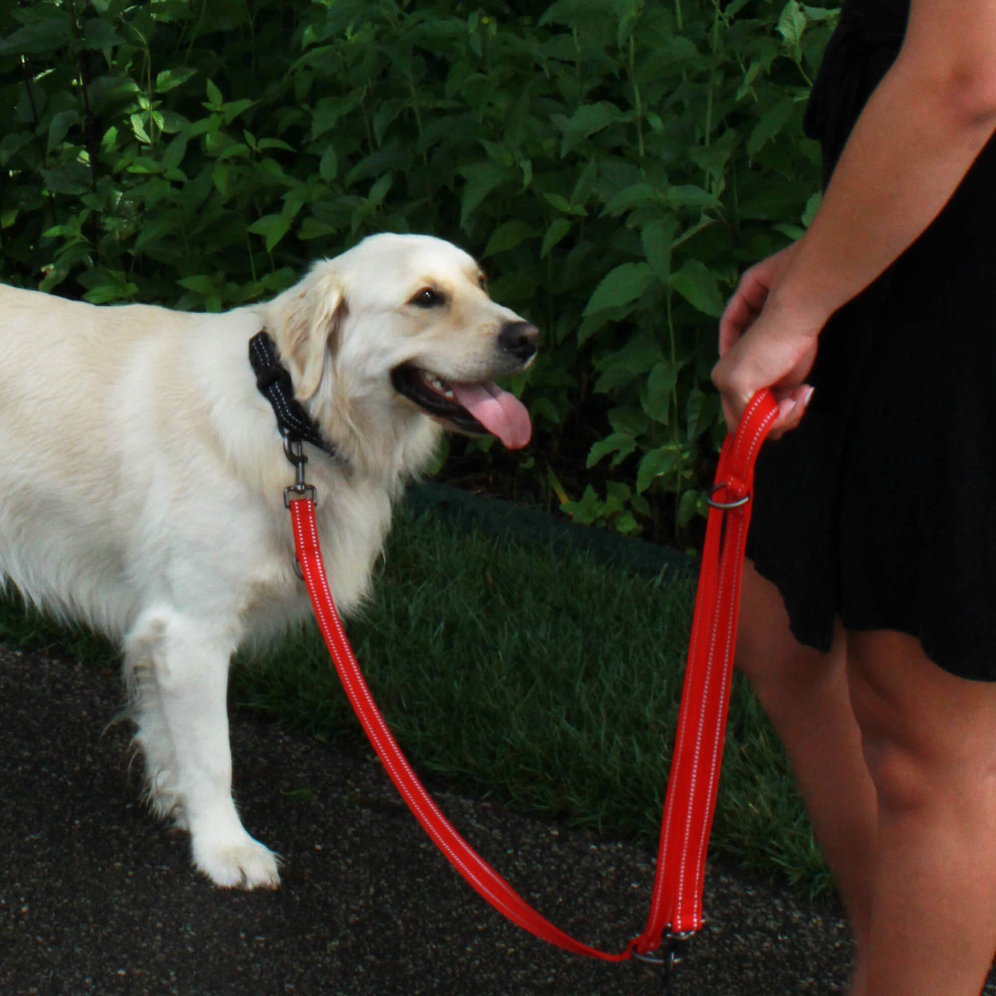  KONG Adjustable Leash