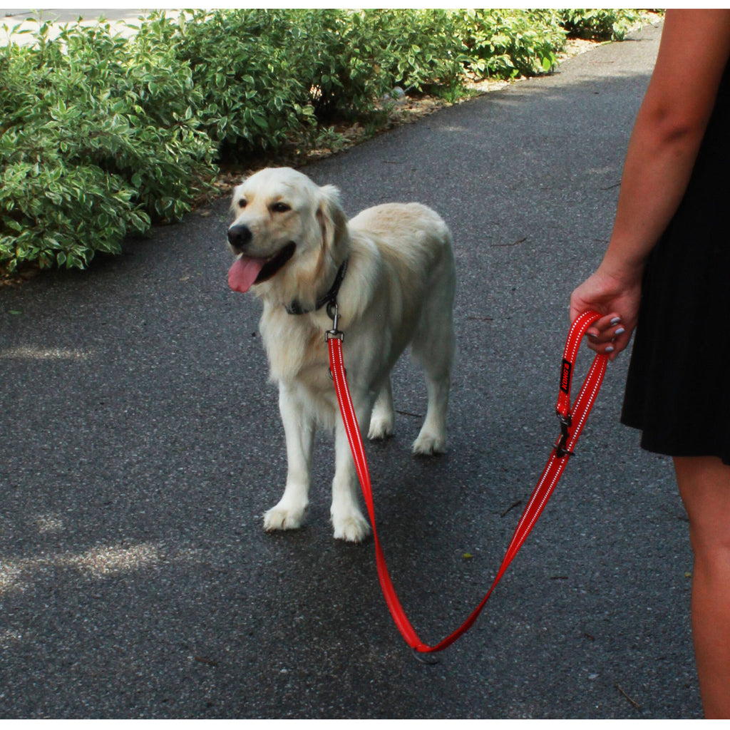  KONG Adjustable Leash