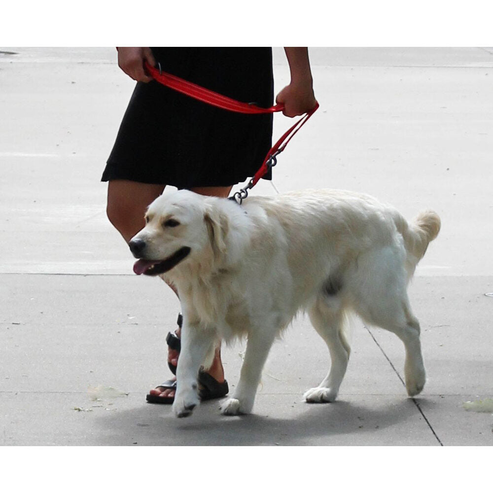  KONG Adjustable Leash
