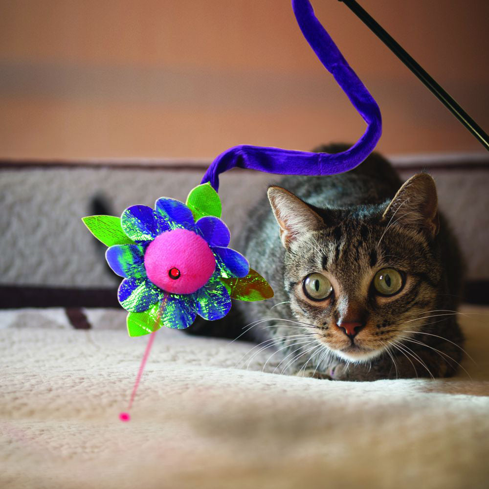  KONG Cat Laser Teaser