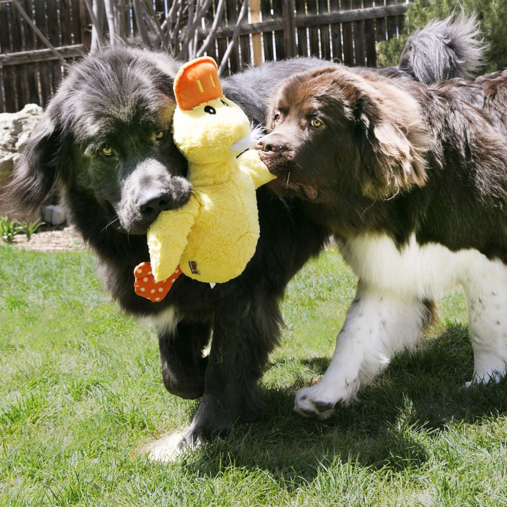  Kong Comfort Jumbo XL Plush Dog Toy