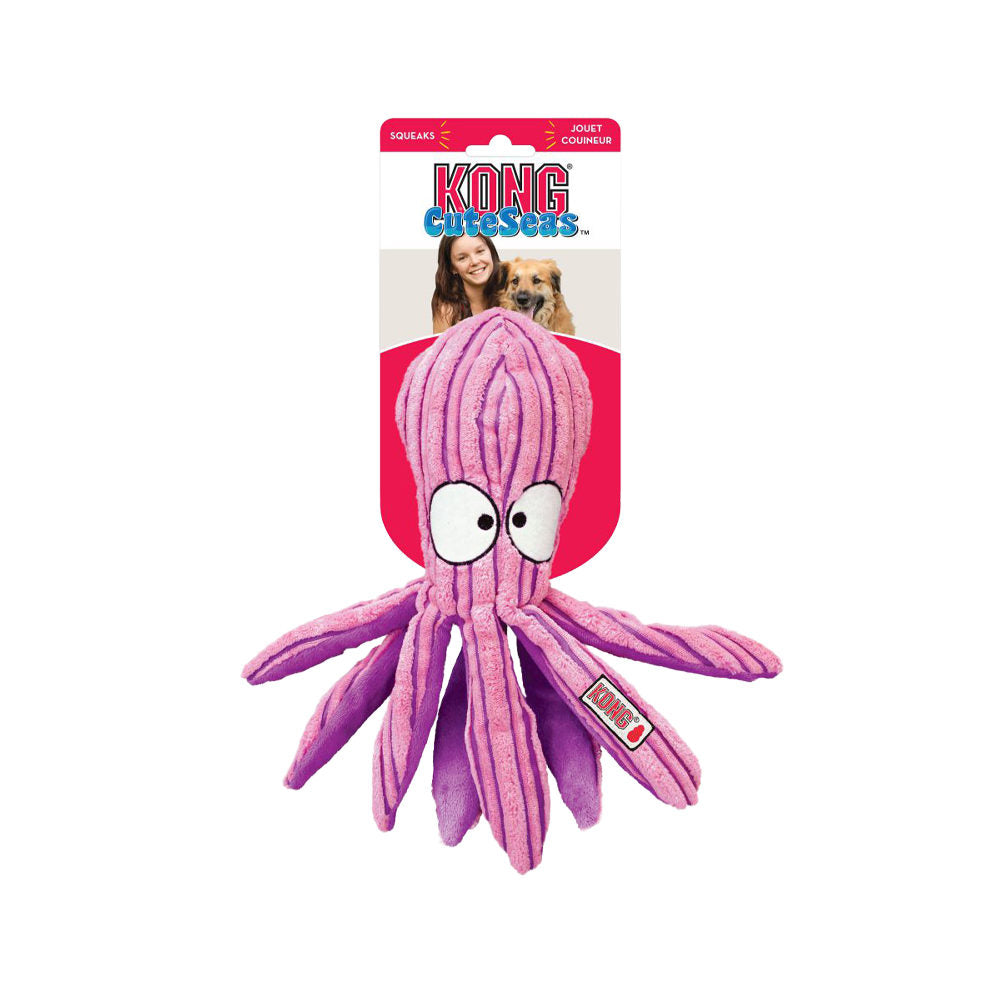  KONG Cuteseas
