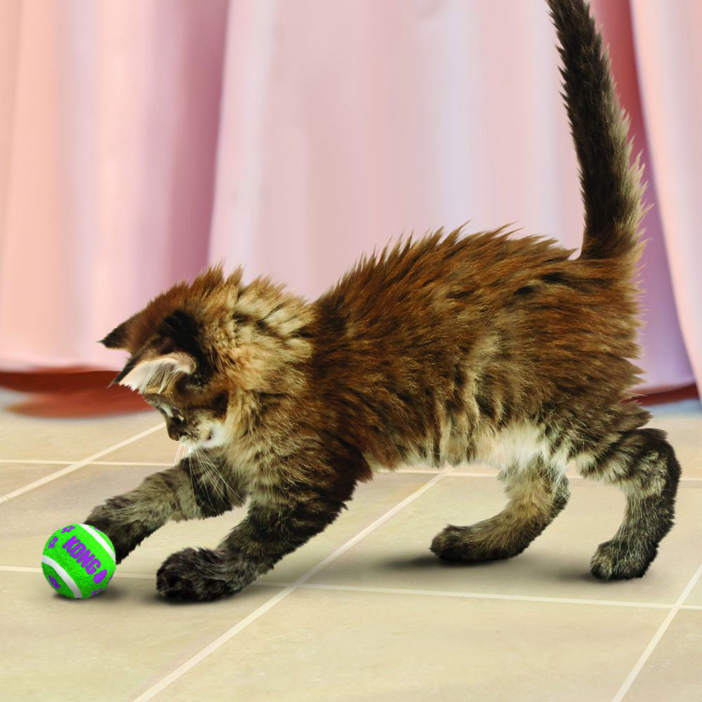 KONG Cat - Tennis Balls