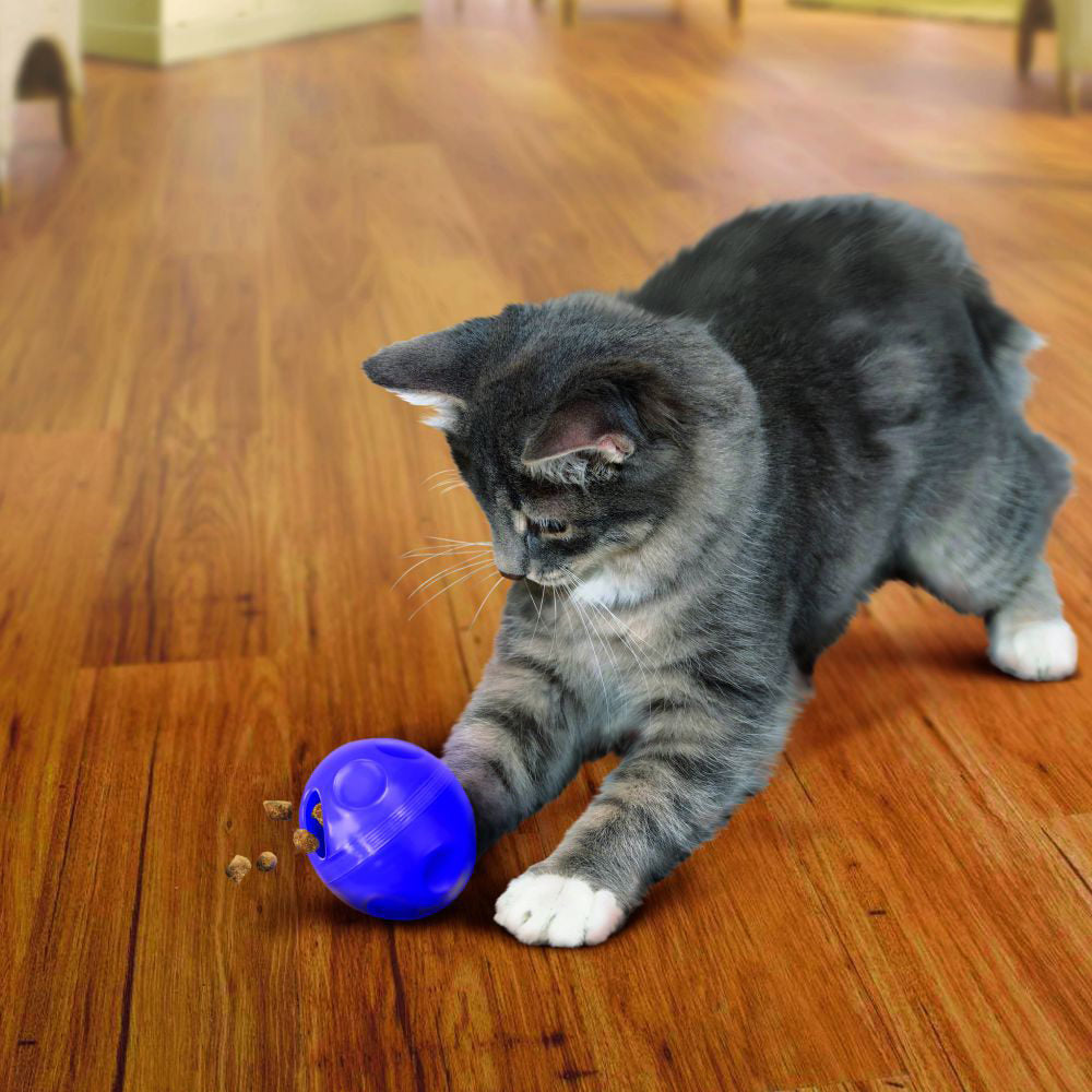  KONG Cat - Treat Ball