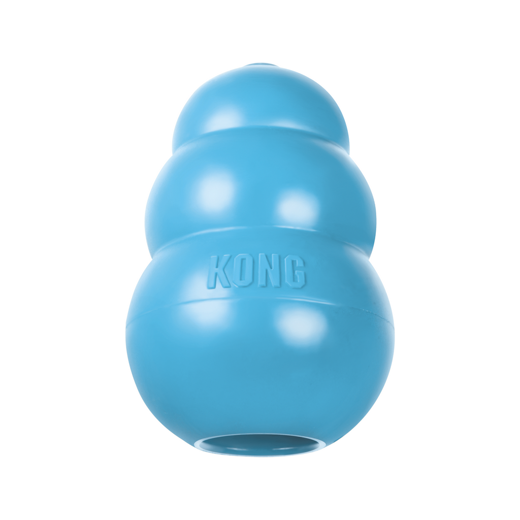 Beeztees KONG Puppy