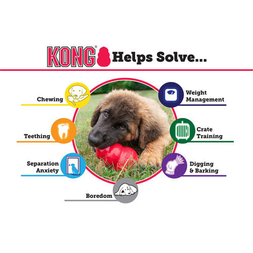 Beeztees KONG Puppy