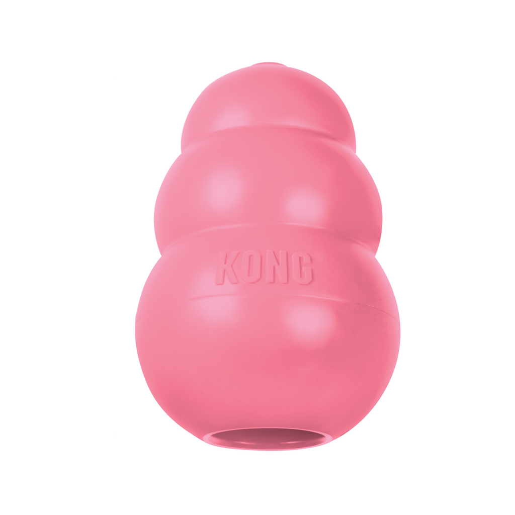 Beeztees KONG Puppy