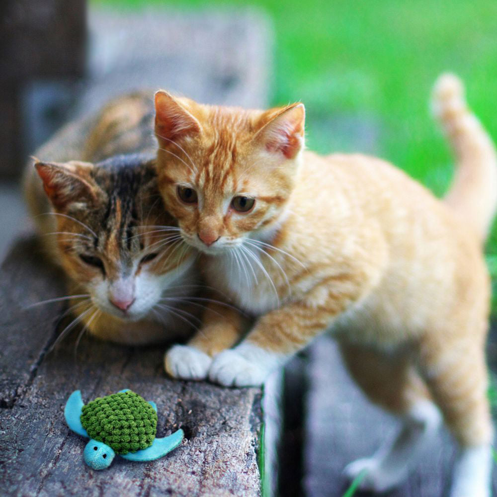  KONG Refillables Turtle Catnip Toy