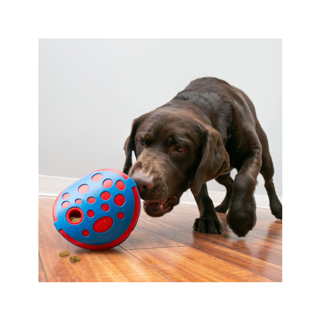  Kong Rewards Wally Dog 