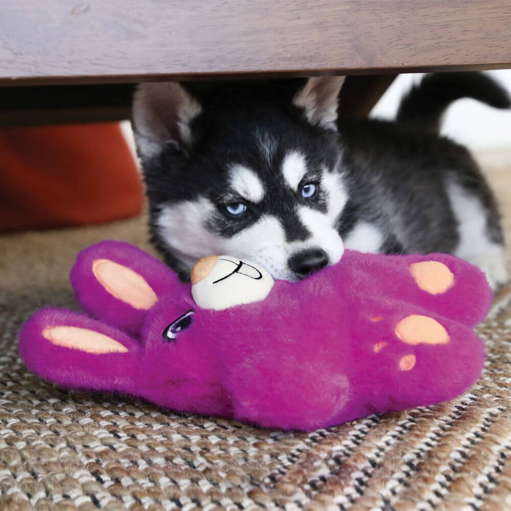  KONG Snuzzles