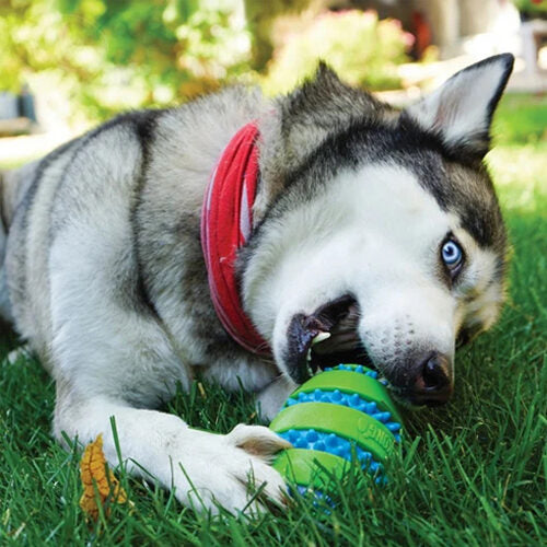  KONG Squeezz Goomz Ball 