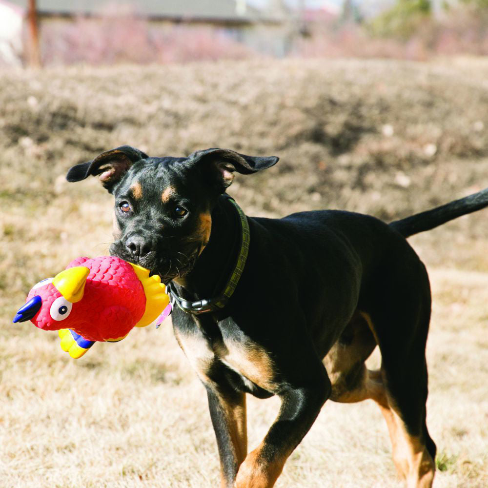 Nylabone KONG Wiggi 