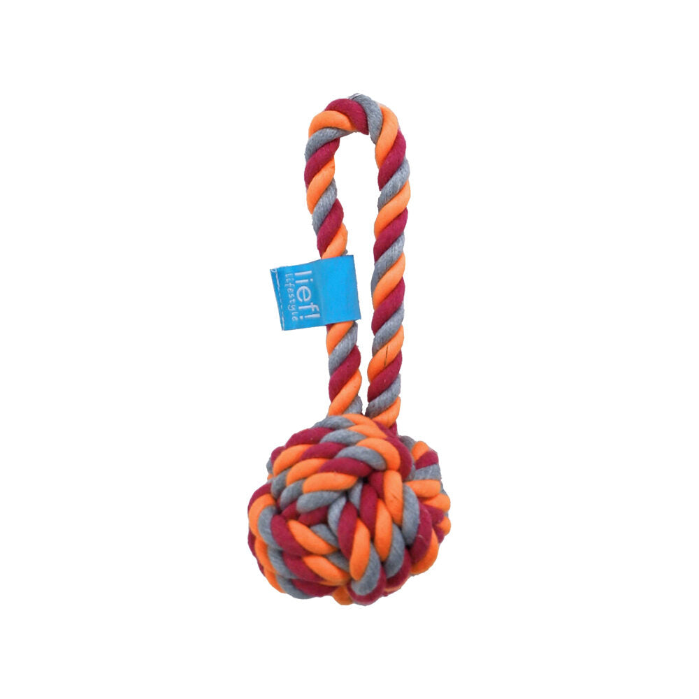 ROGZ Lief! Girls Dog Toy Floss Ball