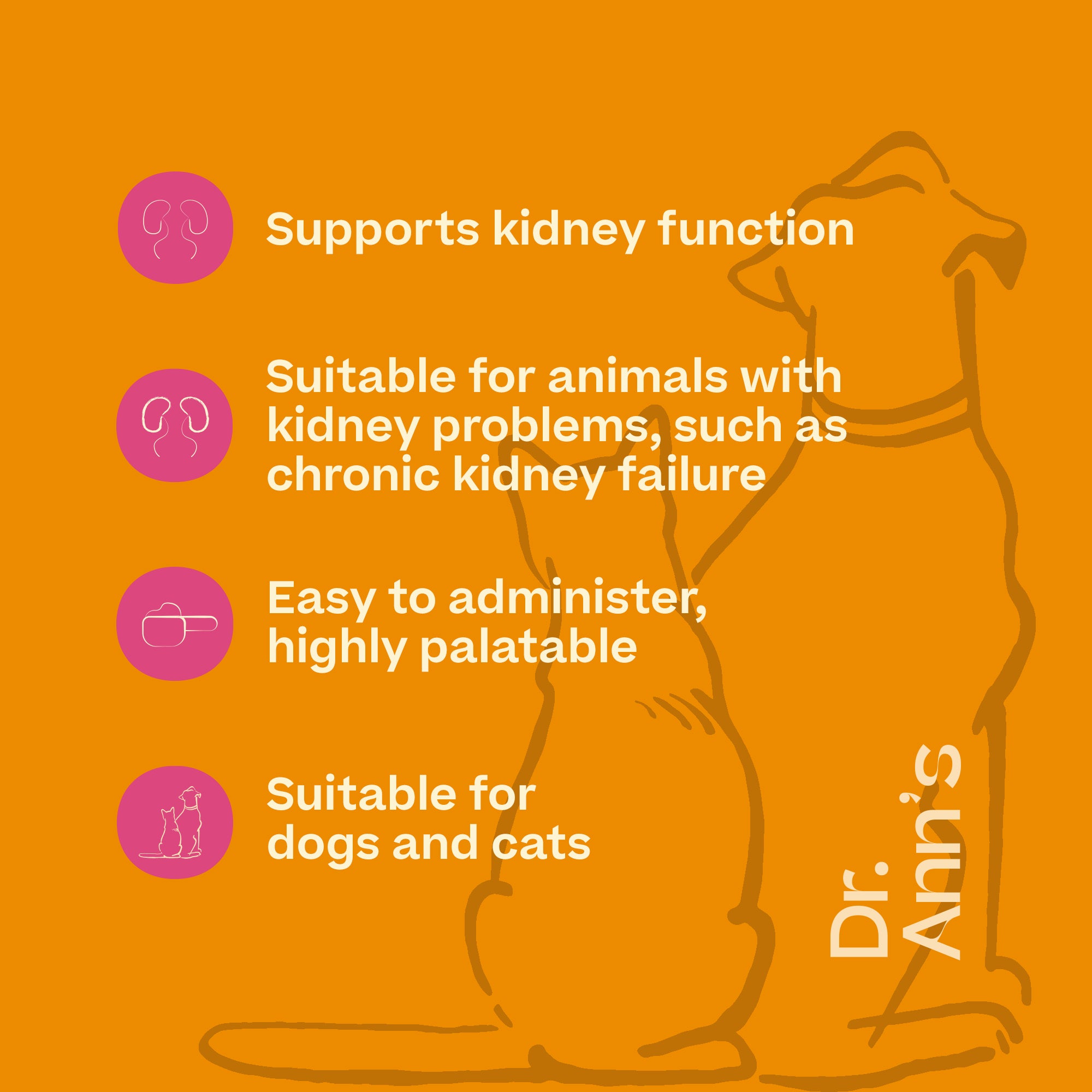  Dr. Ann's Kidney Support