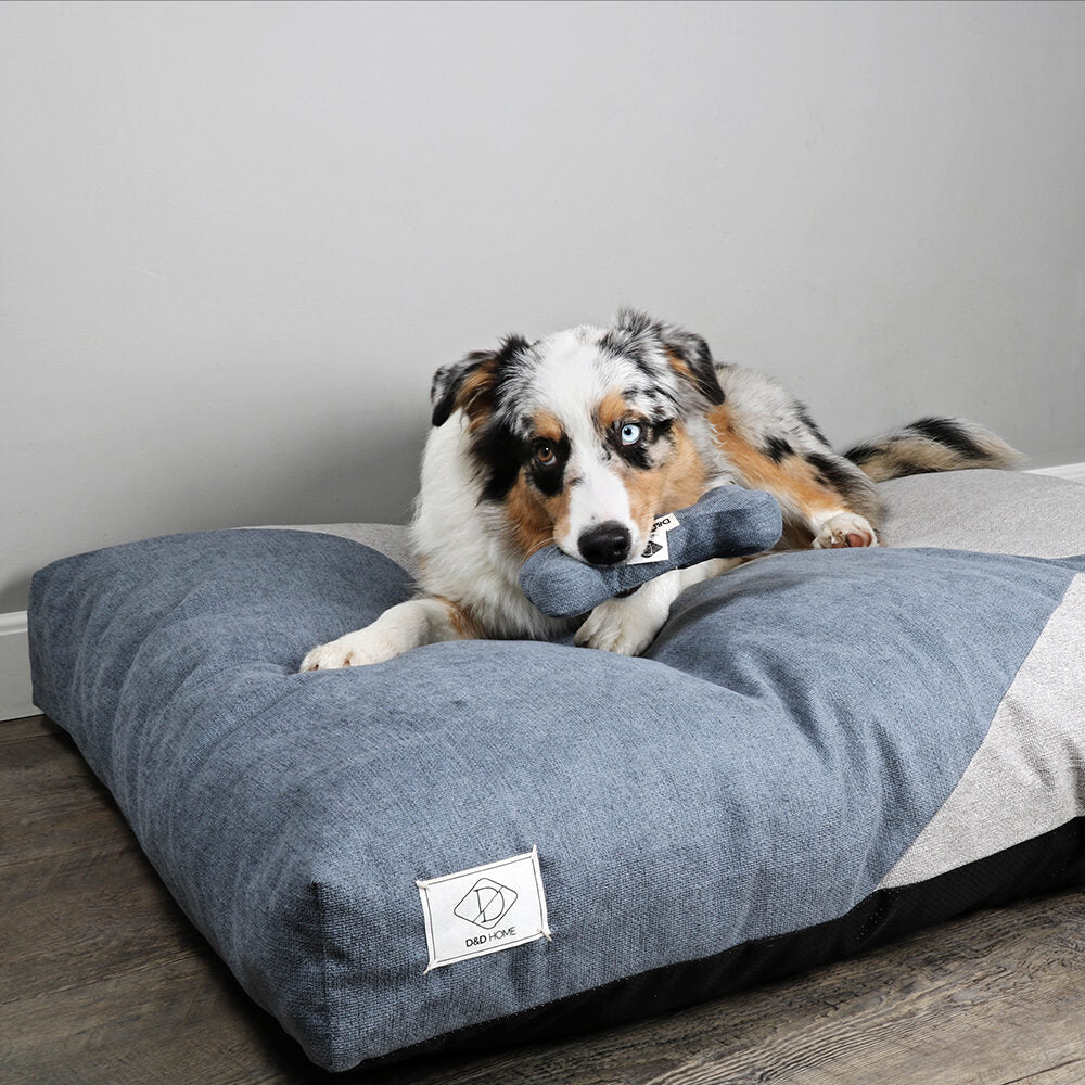  D&D Maddy Dog Bed