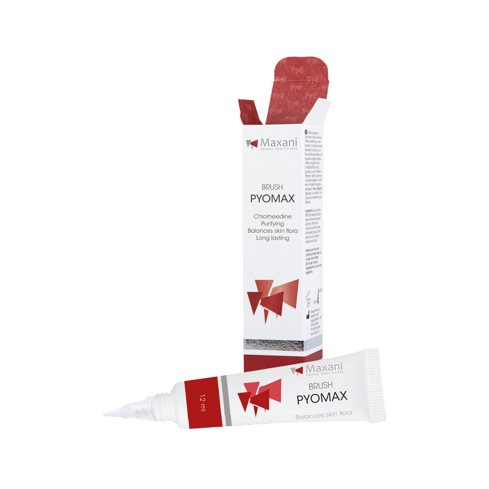  Maxani PyoMax Brush