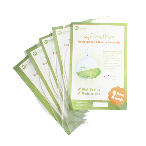  MyFleaTrap Flea Trap