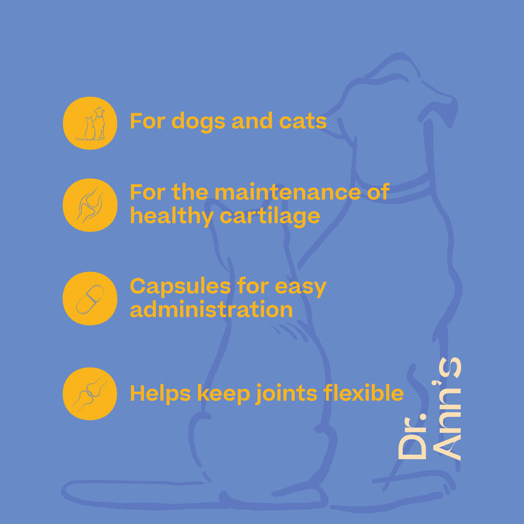  Dr. Ann's Mobility Support Plus