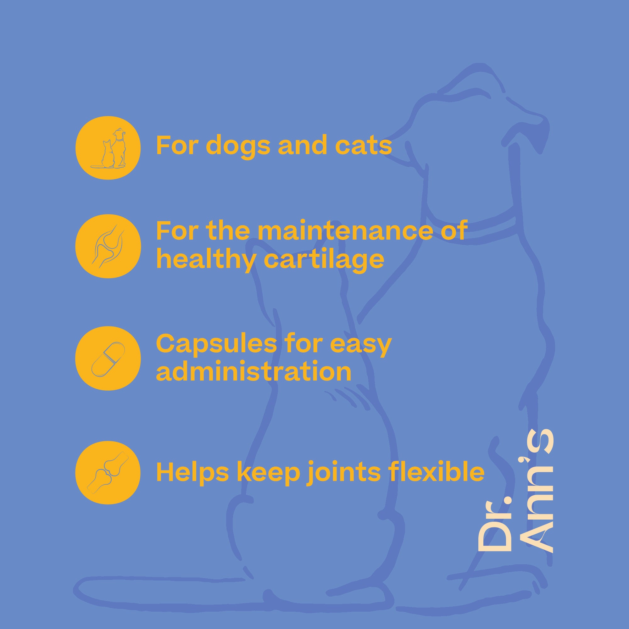  Dr. Ann's Mobility Support Plus