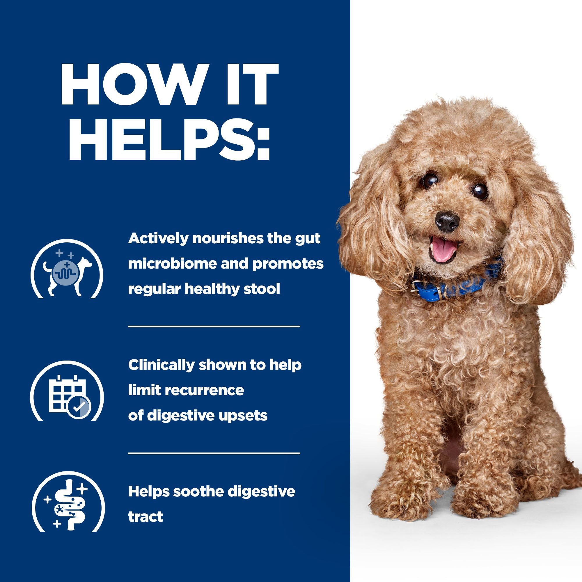  Hill's Prescription Diet Gastrointestinal Biome - Canine - Mini 