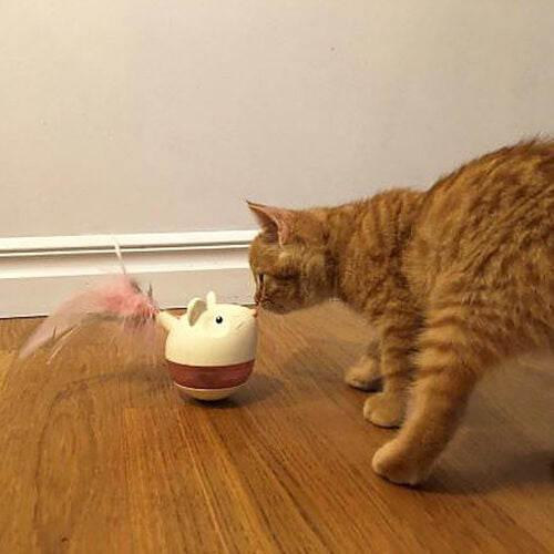 Ferribiella Nina Ottosson Hunt 'n Swat Tumbler