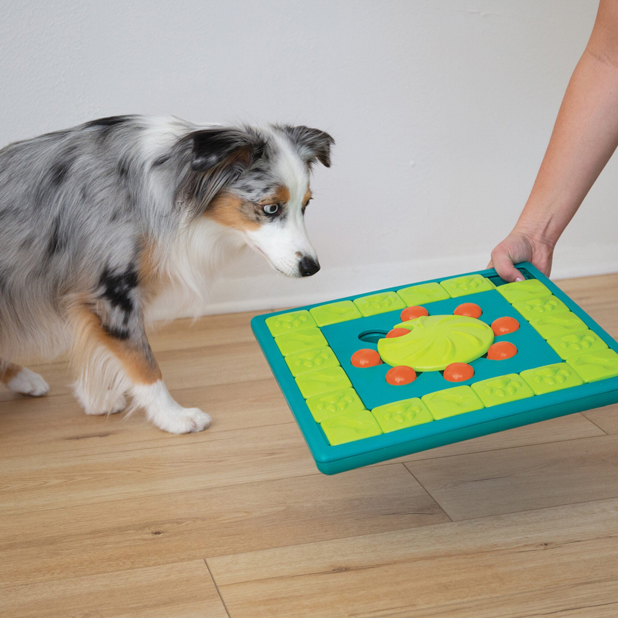  Nina Ottosson MultiPuzzle