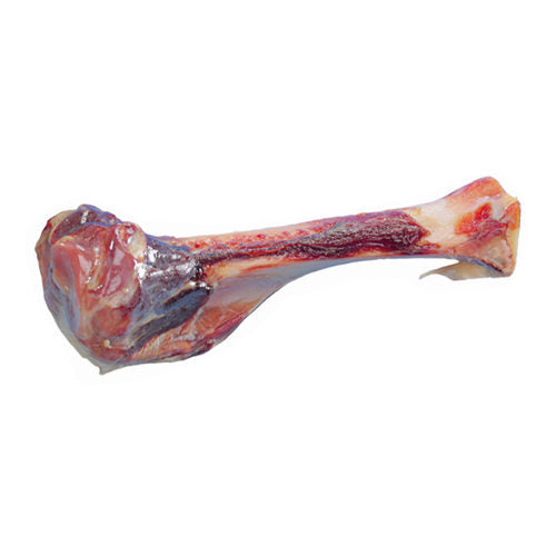  Nobby Parma Bone