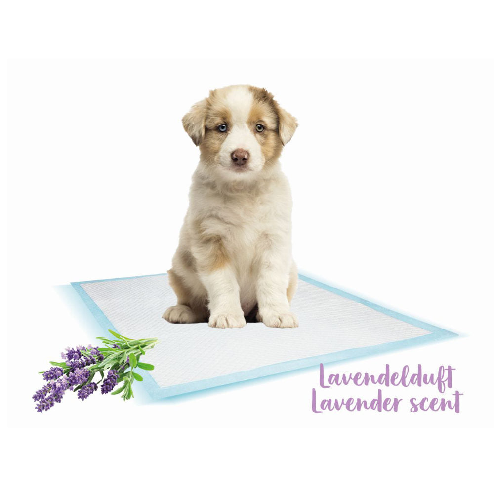 Savic Nobby Training Pads Lavender