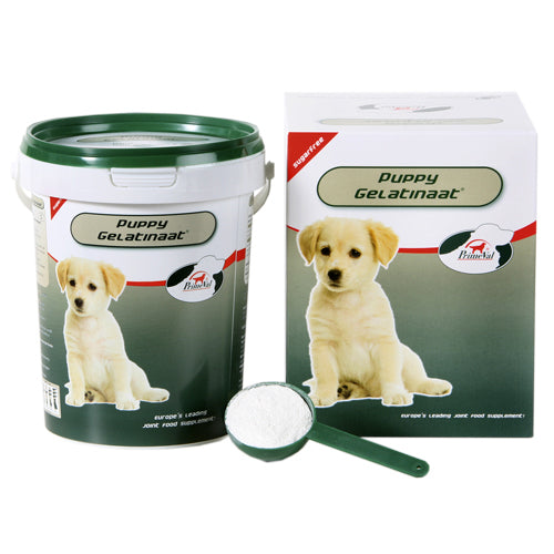  PrimeVal Gelatinate For Dogs