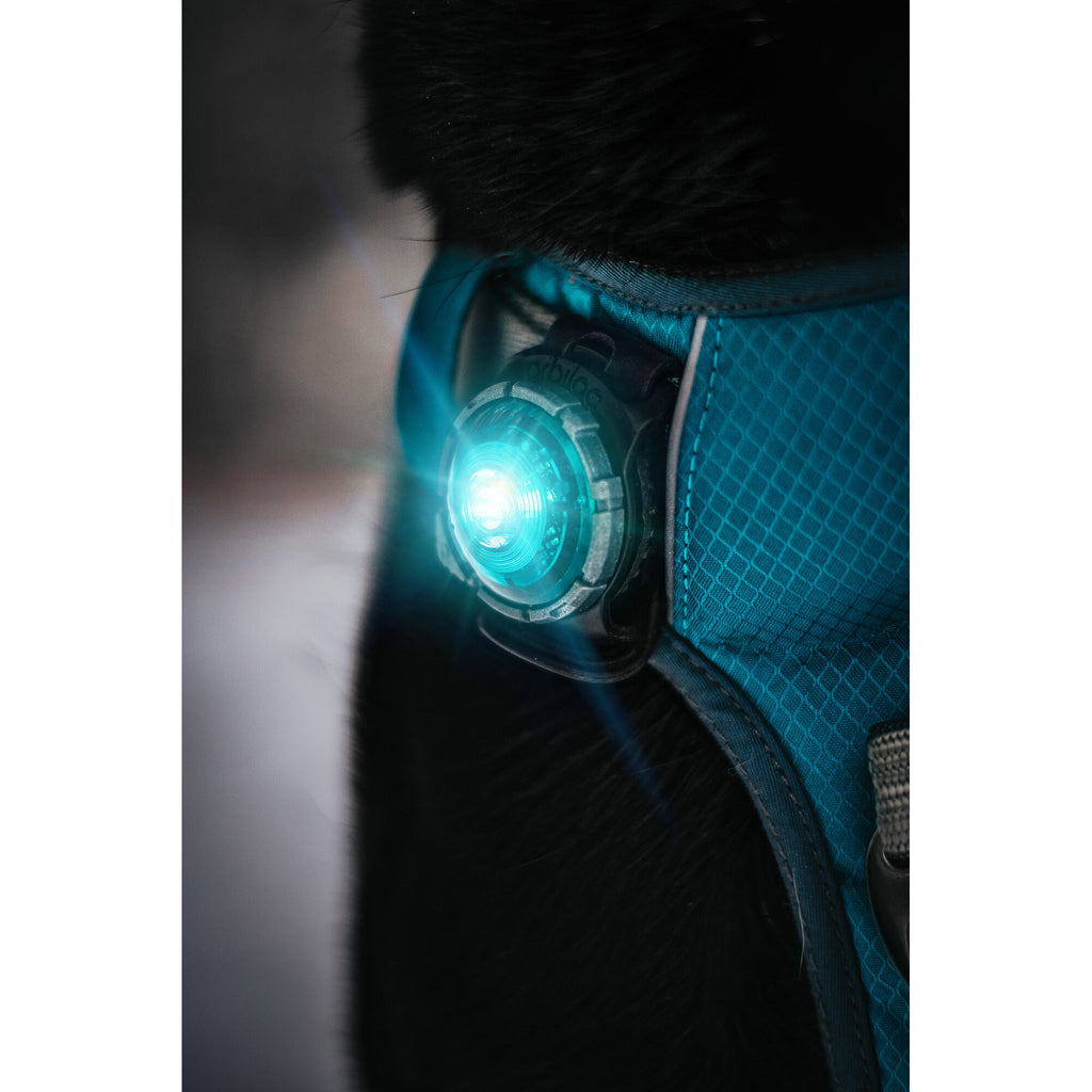  Orbiloc LED Safety Light