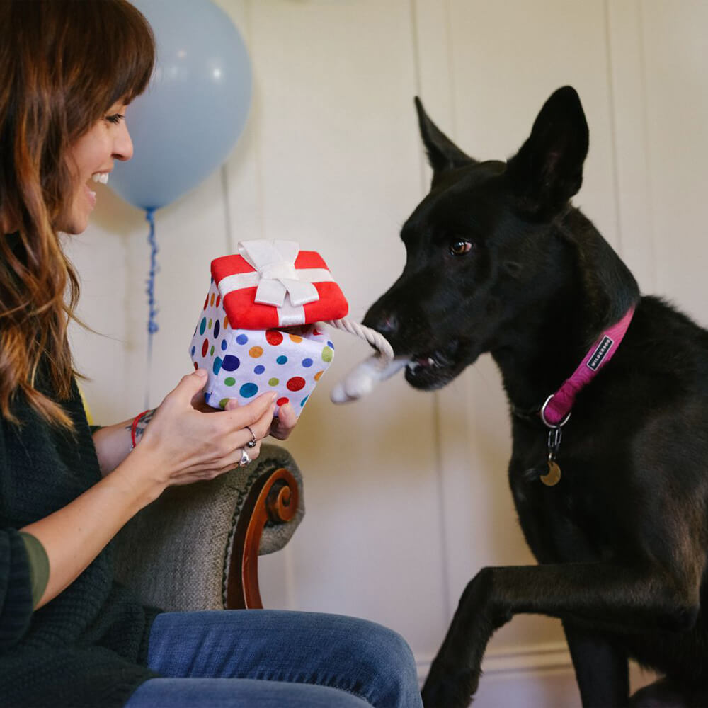  P.L.A.Y. Pet Party Time Collection - Pawfect Present