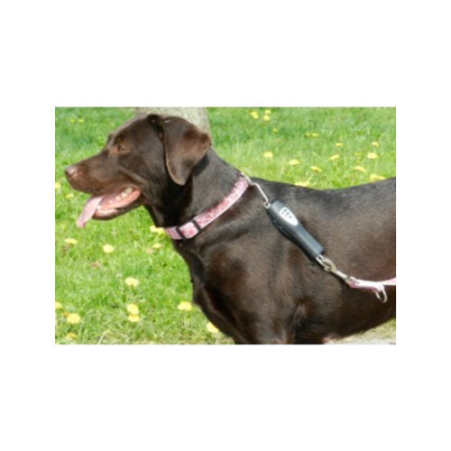  PatentoPet Dog E-walk Basic 