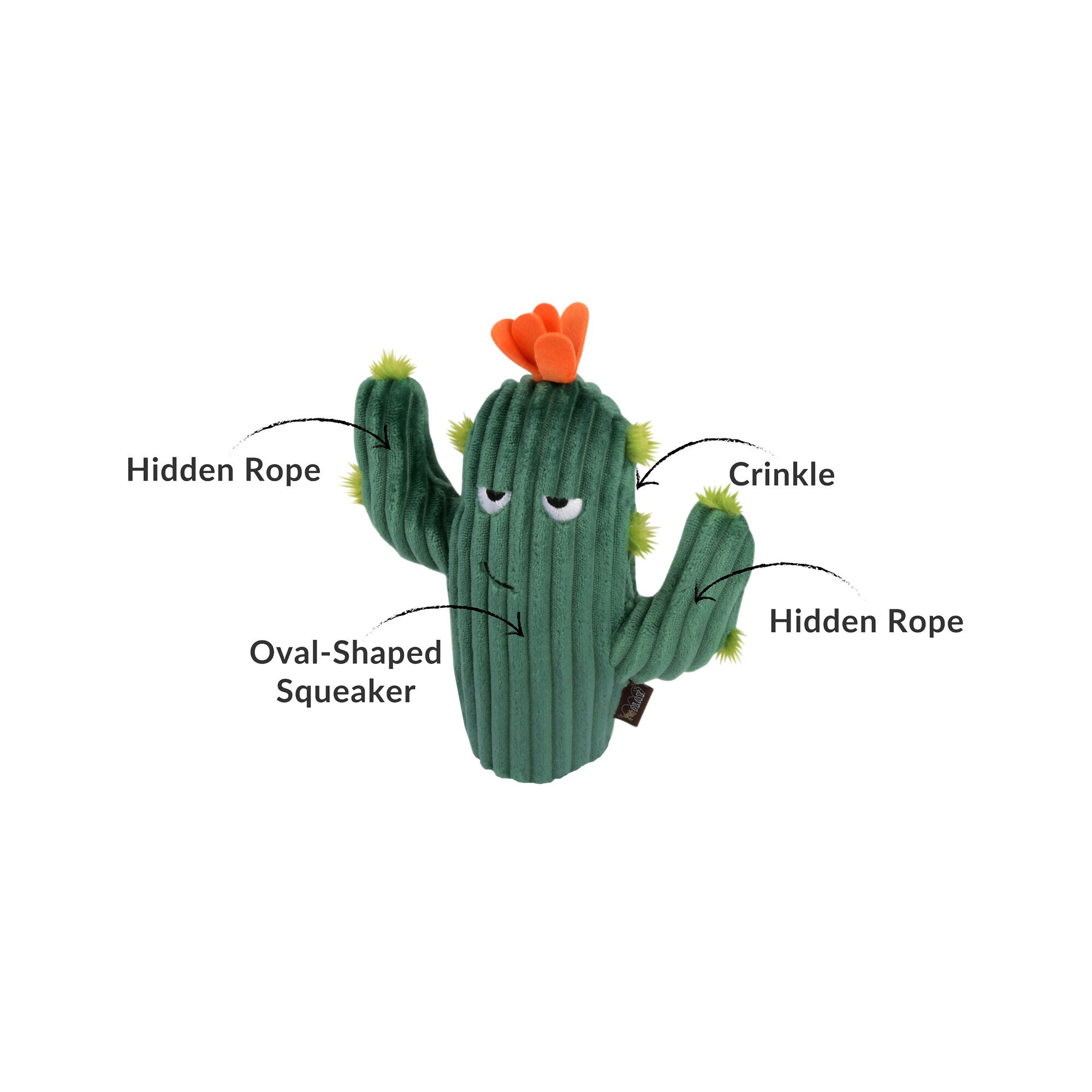 Trixie P.L.A.Y. Pet Blooming Buddies - Prickly Pup Cactus