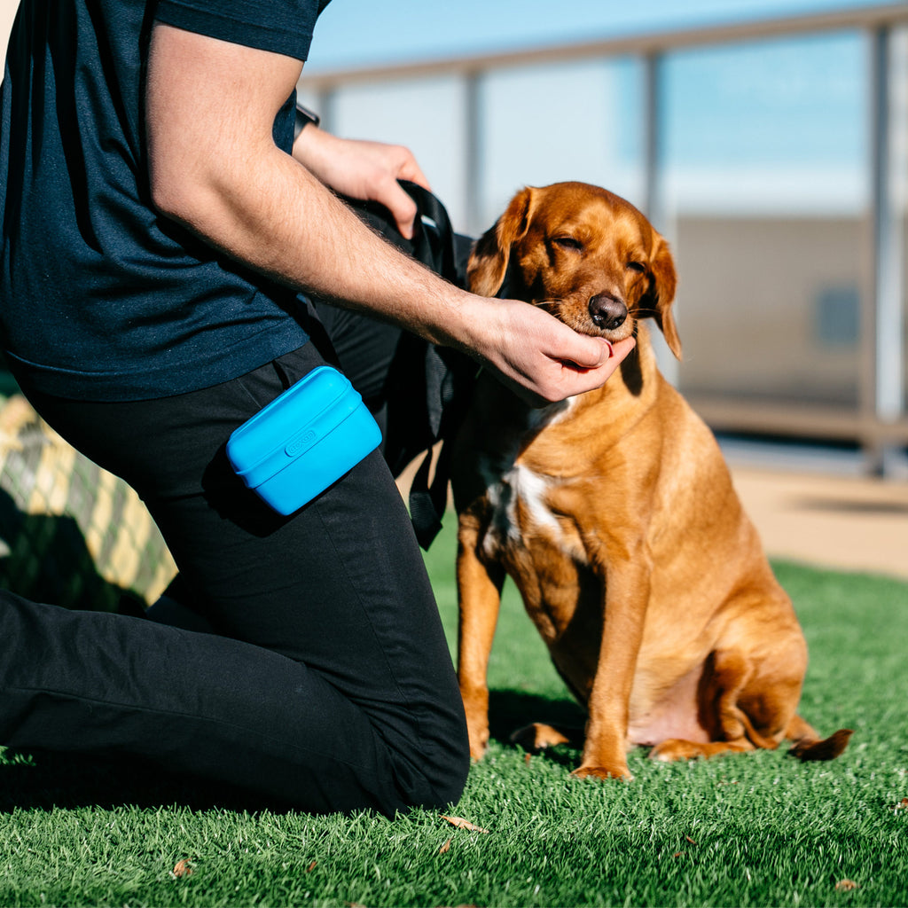  Popware Pooch Pouch Treatbag