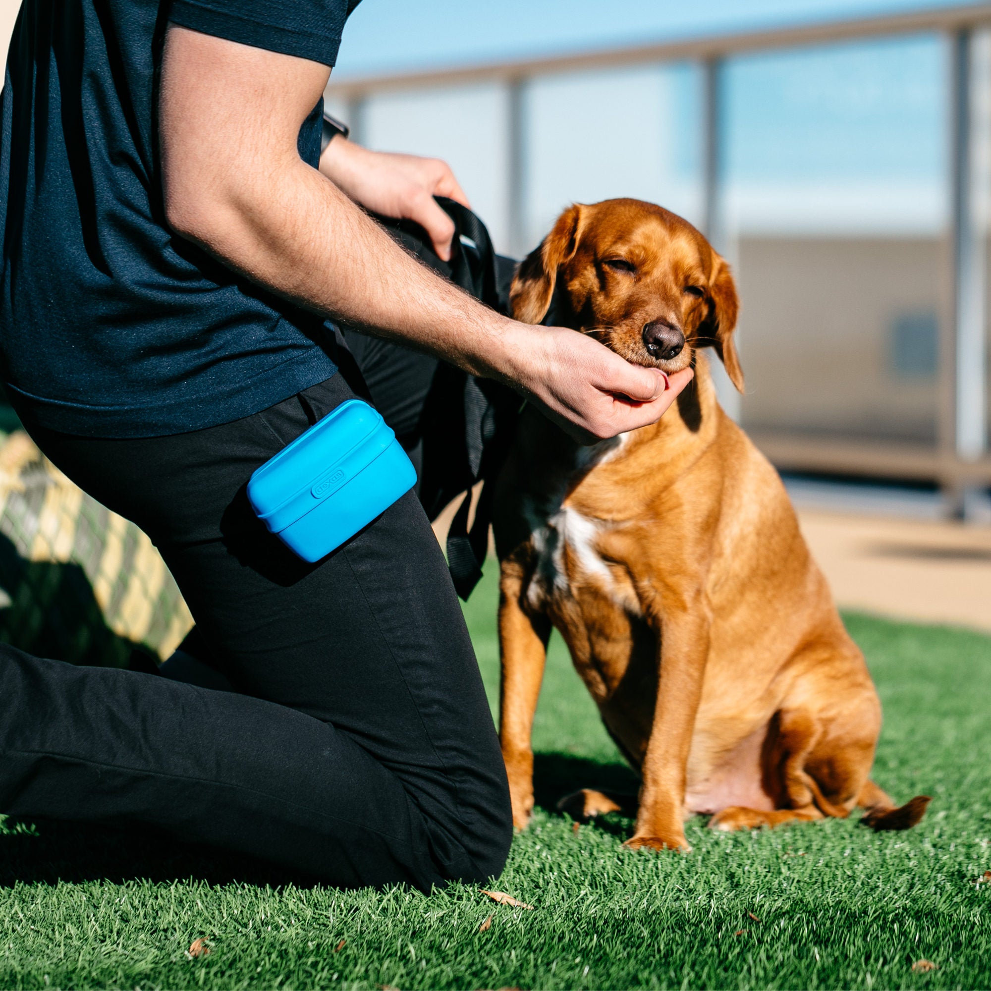  Popware Pooch Pouch Treatbag