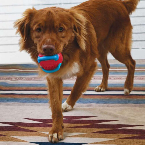  KONG Jaxx Brights Ball