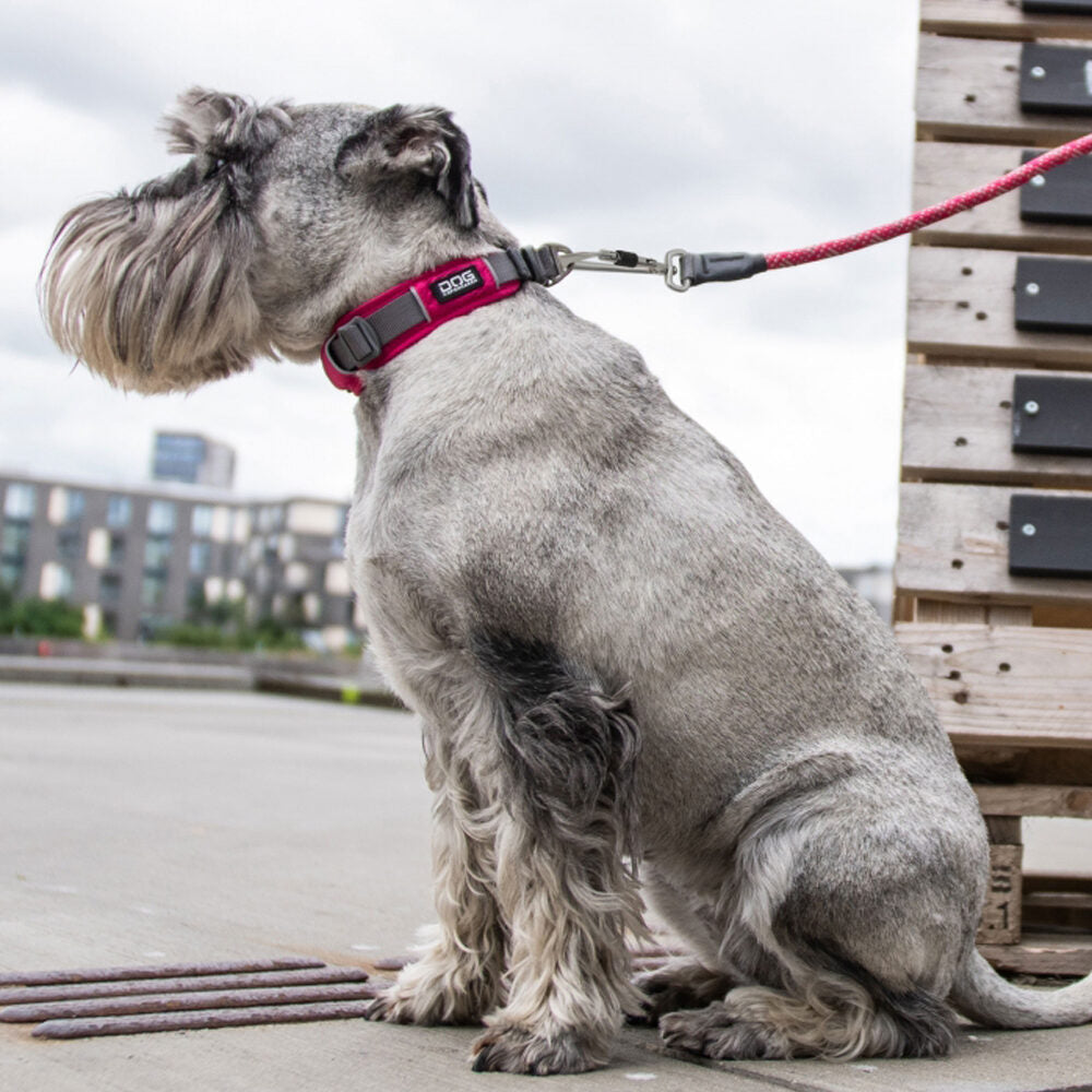  DOG Copenhagen Urban Explorer™ Collar