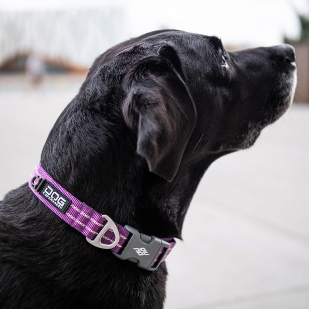  DOG Copenhagen Urban Style™ Collar