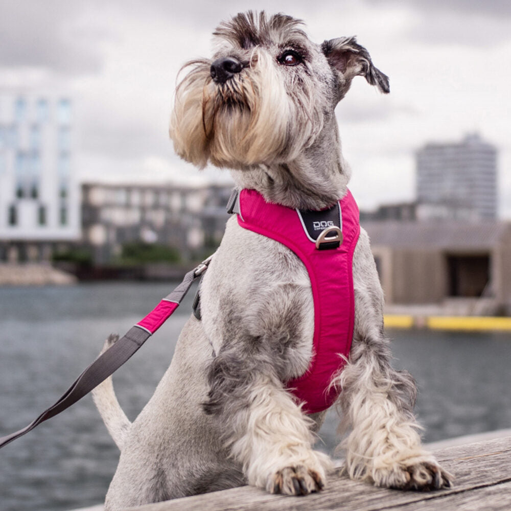  DOG Copenhagen Comfort Walk Pro™ Harness