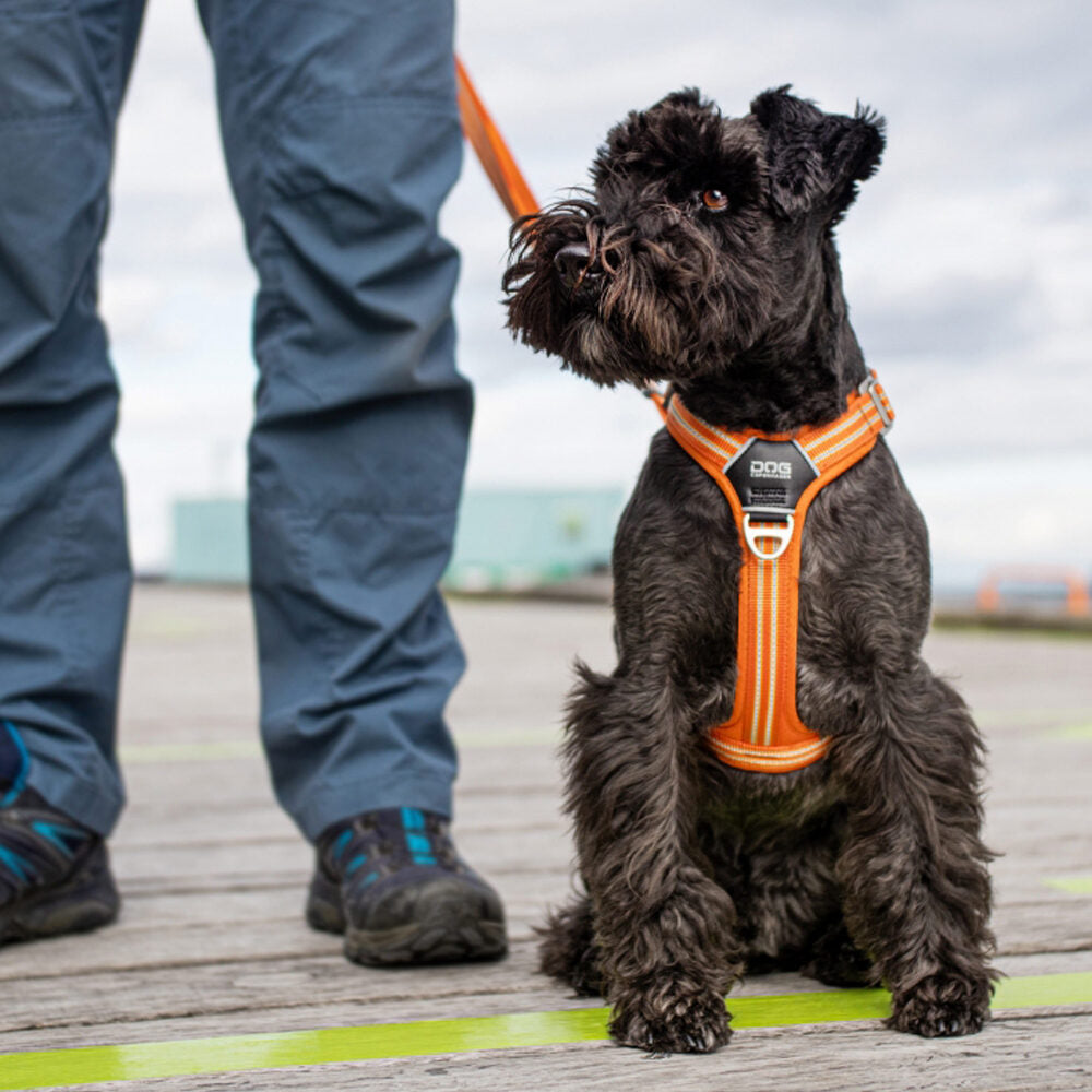  DOG Copenhagen Comfort Walk Air Harness