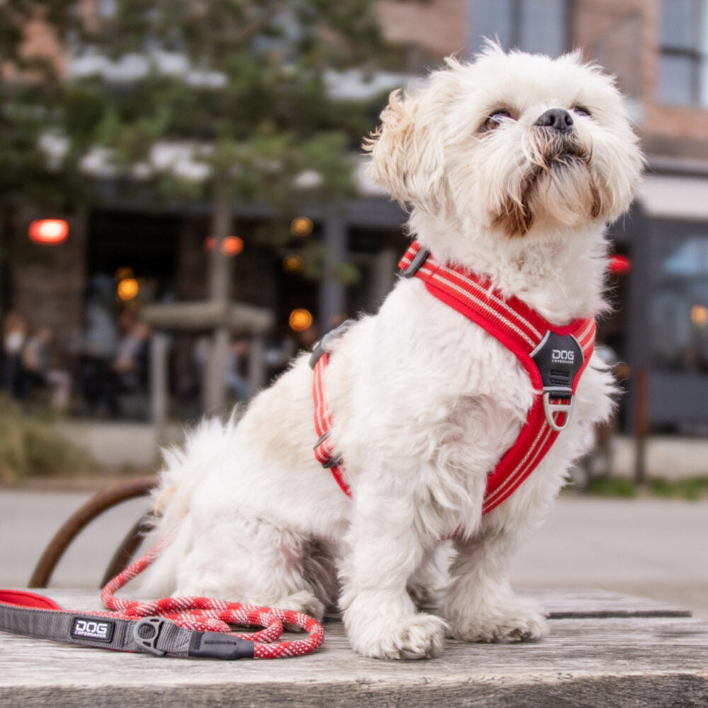  DOG Copenhagen Comfort Walk Air Harness