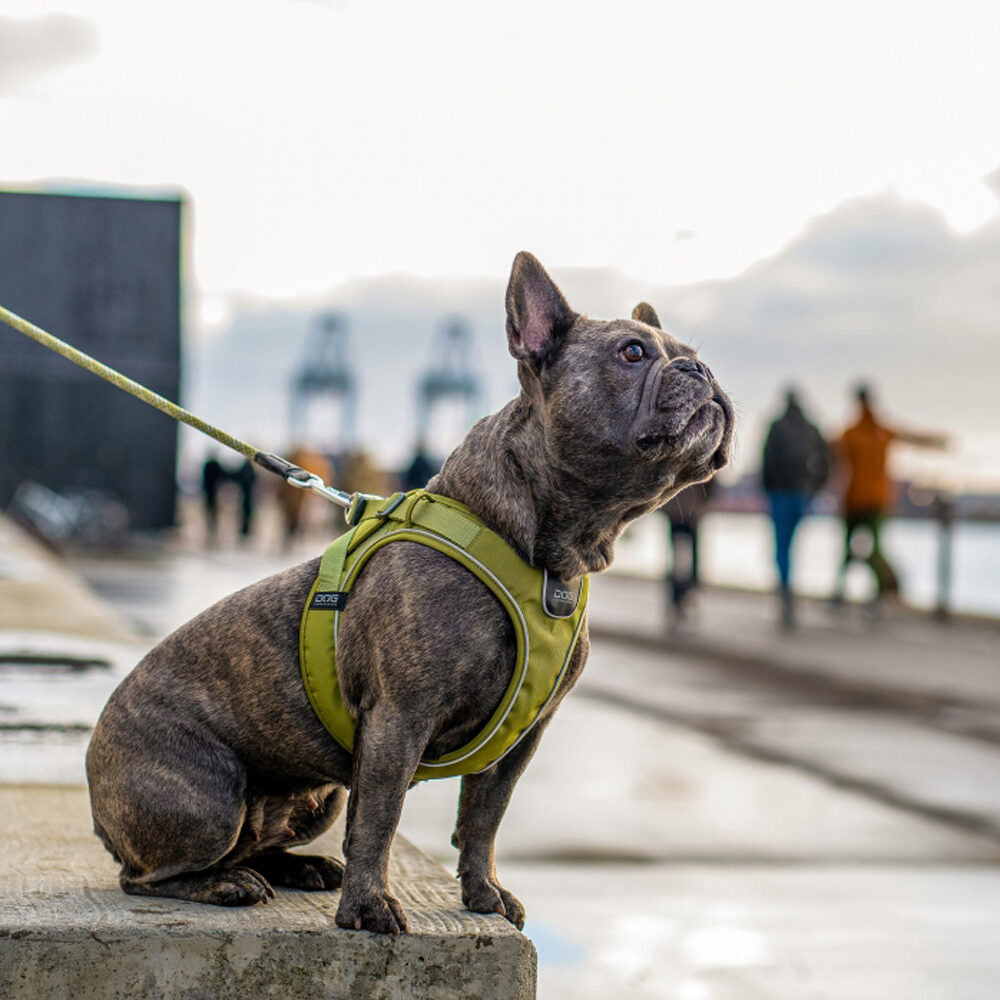  DOG Copenhagen Comfort Walk Go™ Harness