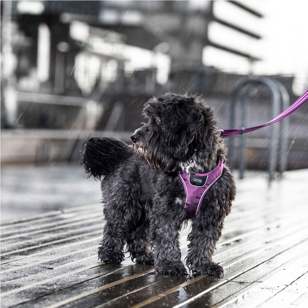  DOG Copenhagen Comfort Walk Go™ Harness