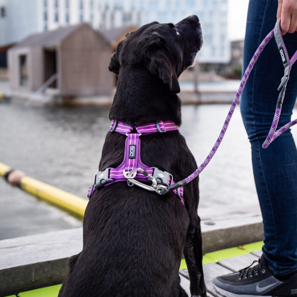  DOG Copenhagen Urban Rope Leash