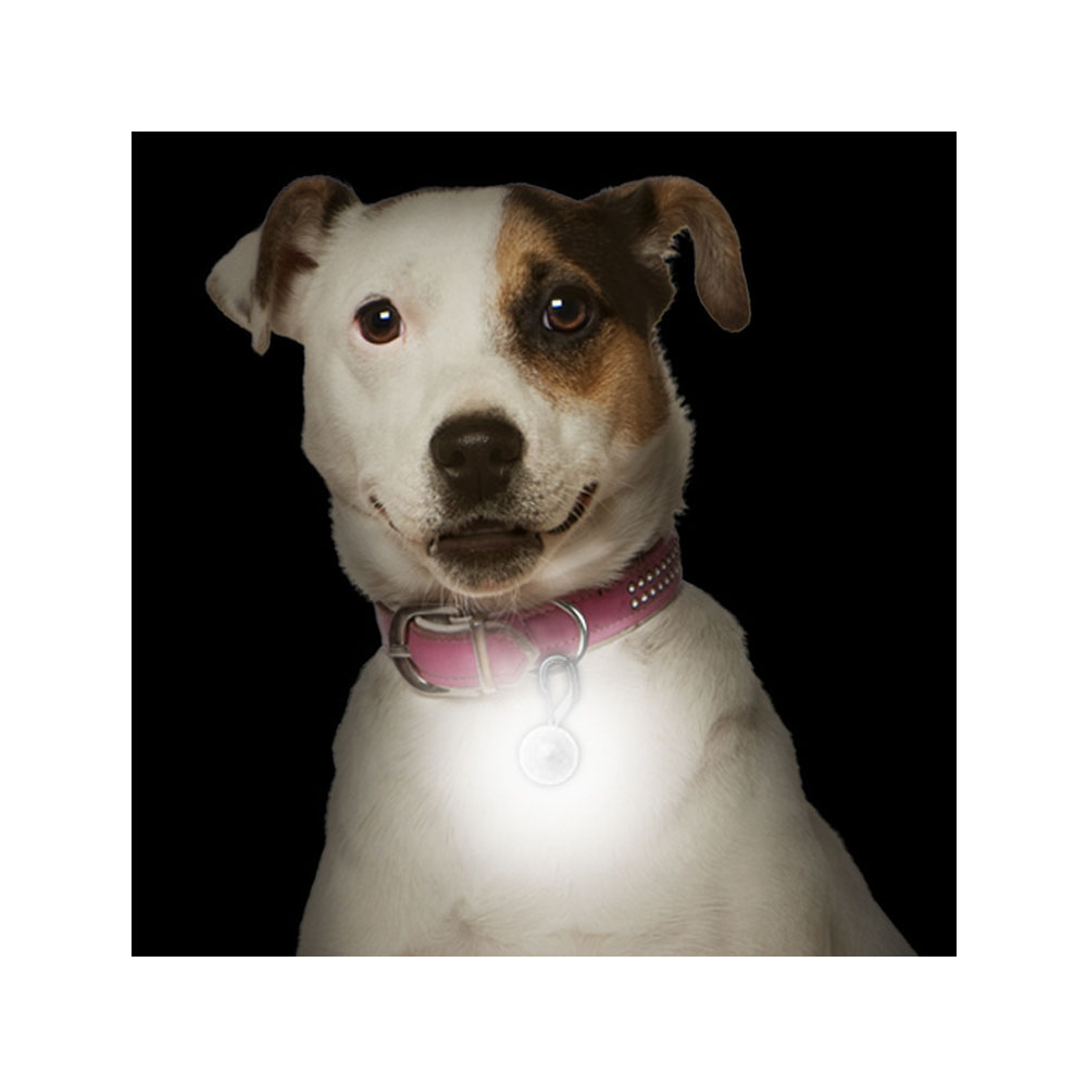Orbiloc Nite Ize PetLit LED Collar Light