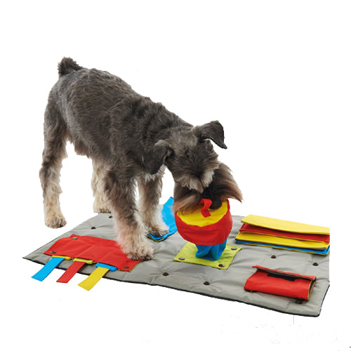  Buster Activity Mat
